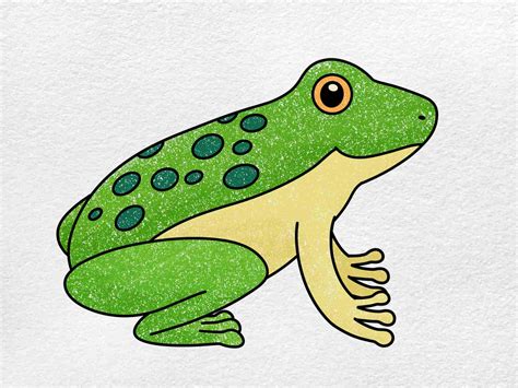 frog draw|frogs easy to draw.